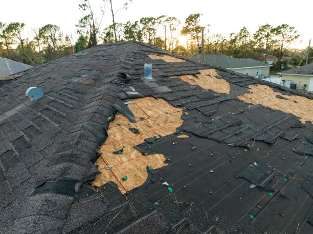 Best Skylight Installation and Repair  in Bayou Country Clu, LA